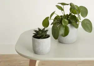 Verve Grey Speckle Clay Plant pot (Dia) 10.4cm, (H)9.5cm, 500ml