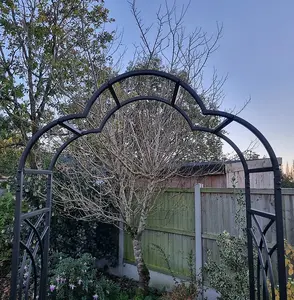 Tom Chambers Cumulus Metal Garden Arch 107cm Wide Garden Rose Arch