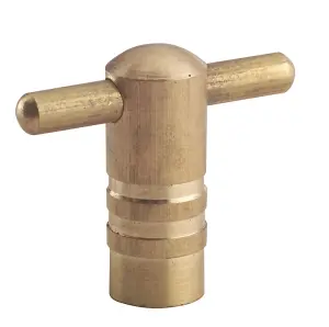 Plumbsure Air vent Radiator key