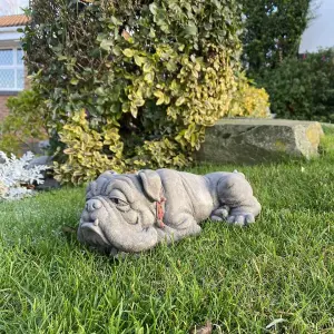 Lying Bulldog Small Garden Ornament