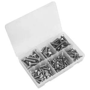 Sealey Stainless Steel Setscrew Assortment 150 Pieces Screws M5-M10 AB078SS