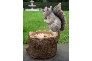 Squirrel sitting on Log bird feeder