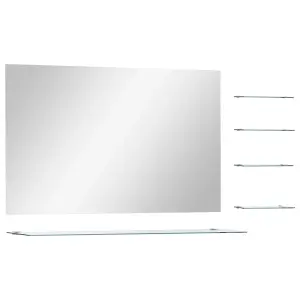 Berkfield Wall Mirror with 5 Shelves Silver 100x60 cm