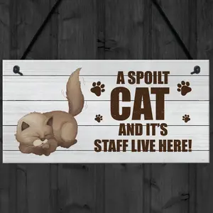 Novelty Funny Cat Sign Pet Sign Pet Gift For Family Home Decor Gift Keepsake