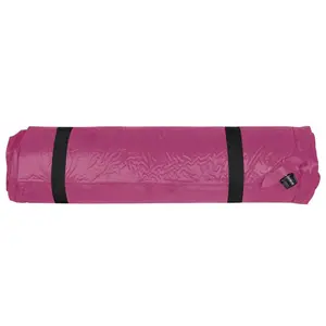 Gianina Inflatable 6cm Air Bed Pink