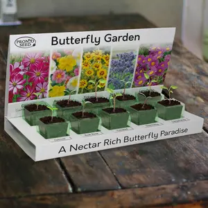 Pronto Seed Grow Your Own Flowers Kit - 5 Flower Seed Varieties - Gardening Gifts for Men and Women