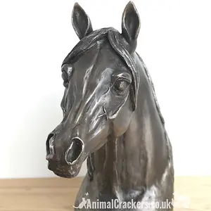 Arab Horse Head figurine in solid cold cast bronze designed by Harriet Glen