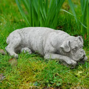 Boxer Dog Stone Statue Outdoor Garden Ornament British Made Puppy Sculpture