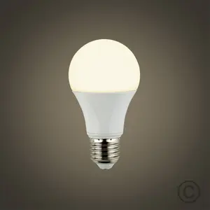 E27 LED Light Bulb 6 W / Warm