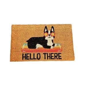 Coir Products Coir Doormat with the Design Text of "Hello There, Cat"