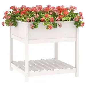 Berkfield Planter with Shelf White 82.5x82.5x81 cm Solid Wood Pine