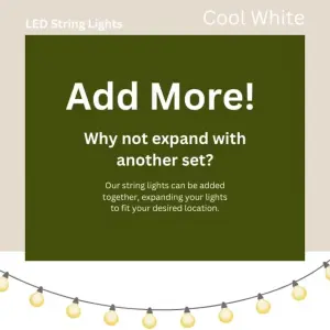 Party Festoon - Warm White, 20 Indoor Outdoor Globe String Lights for Garden