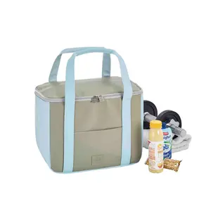 Plastic Picnic Cooler Blue/Taupe / 29cm H x 44cm W x 22cm D