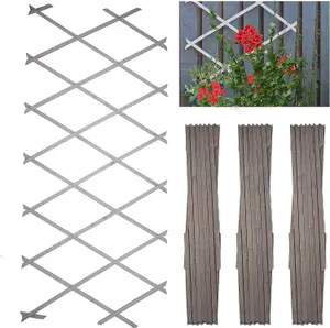 DIVCHI Wooden Trellis Expandable Garden Wall Trellis For Climbing Plants Decoration & Plants Partitioning Pack Of 3 180cm x 30cm