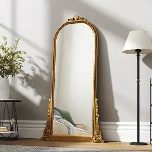 Baroque Decorative Wall Mounted Mirror Shatterproof in Gold