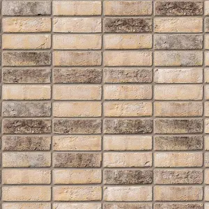 Ibstock New Ivanhoe Cream Brick 65mm Mini Pack 250