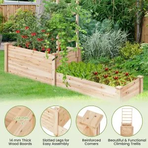 Costway Raised Garden Bed Open Base Wooden Elevated Planter W/ Trellis & 2 Planter Box