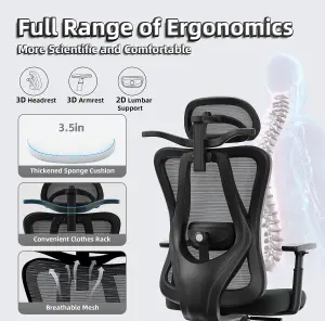 Ergonomic Office Chair with Hanger - Desk Chair with 2D Lumbar Support and 3D Headrest & Armrests-Black