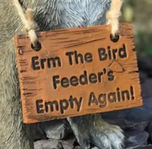 Cheeky Squirrel with removable 'Bird Feeder's Empty' sign garden ornament