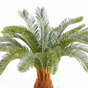 Blooming Artificial - 65cm / 2.25ft Fake Cycas Revoluta