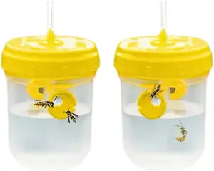 Set of Two Wasp Trap and Insect Traps - Wasp Catcher, Bee Trap, Yellow Jacket Traps