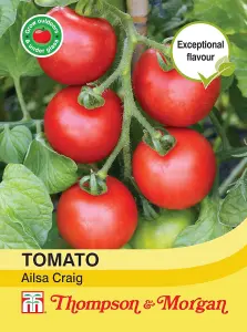 Tomato Ailsa Craig 1 Seed Packet (75 Seeds)