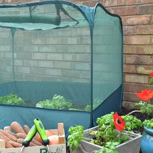 GardenSkill Pop Up Strawberry & Salad Fruit Cage Bird Mesh Pest Protection Cover 1m x 0.75m H