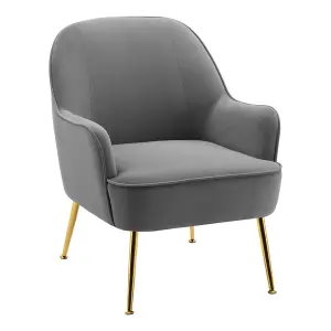 Grey Velvet Upholstered Armchair with Gold-Plated Feet for Living Room 80cm H