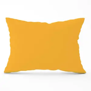 Cantaloupe Orange Cushions 33cm x 48cm