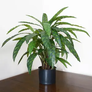 60cm Artificial Calathea Plant Variegated