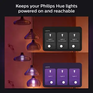 Philips Hue Wall Switch Module 2-Pack