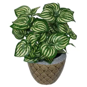 Artificial Foliage Plant Pot 40cm Watermelon Realistic House Plants Botanik