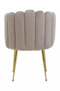 Interiors by Premier Mink Velvet Dining Chair, Modern Chair with Golden Legs, Lasting Accent Chair for Home, Office