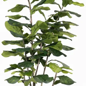 Blooming Artificial - 210cm / 7ft Faux Ficus Lyrata Tree