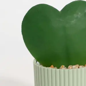 Potted Artificial Succulent - Hoya Heart - Blooming Artificial