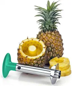 Fruit Pineapple Corer Slicer Peeler Cutter Parer Stainless Kitchen Easy Tool New