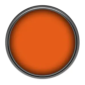 Leyland Trade Vinyl Soft Sheen Walls & Ceilings Emulsion Paint Ral Orange (RAL 2017) - 5L