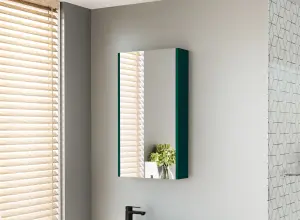 Bathroom Mirror Cabinet Washroom Cupboard Dark Green Slim 400mm Wall Storage Unit Avir