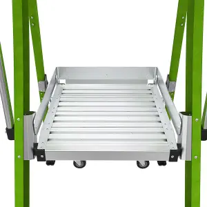 Little Giant 2 Tread Fibreglass GRP Safety Cage 2.0