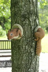 Red Squirrel Tree Oeeker Ornament