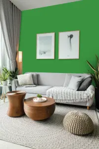 Leyland Trade Vinyl Soft Sheen Walls & Ceilings Emulsion Paint Pure Green (RAL 6037) - 5L