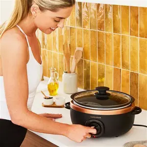 Morphy Richards-Uk Sear & Stew Oval Slow Cooker 3.5L