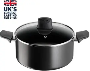 Tefal Titanium Force Stew Pot, 24Cm, Black, Aluminium