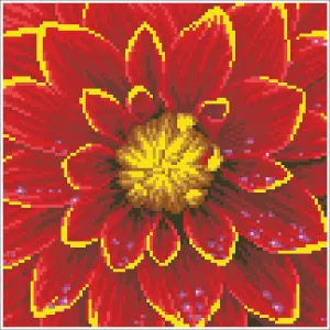 DAHLIA - Diamond Painting Kit: Dahlia - Diamond Dotz