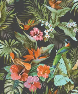 Vasari Paradise Birds Black/Multi Wallpaper