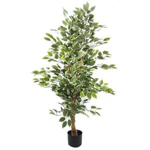 130cm Variegated White/Green Bushy Ficus Tree