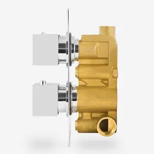 Square 2 Dial 1 Way Concealed Thermostatic Shower Mixer Valve Head Set