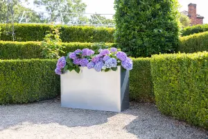 Primrose Garden Zinc Tall Trough Planter with Insert Silver 95cm