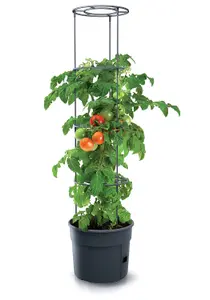 URBN GARDEN Height 300mm Tomato Grower Tower Plastic Home Indoor/Outdoor Plant Veg Flower Pot