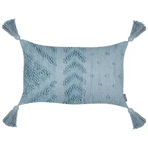 Set of 2 Cushions VALVARIA Cotton 30 x 50 cm Solid Blue